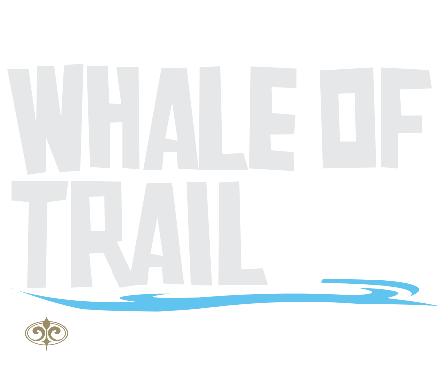 Whale of Trail Whale Journey 1